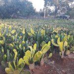 Віктор Микола Гаврилюк 3