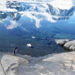 Віктор Микола Гаврилюк 18