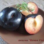 Лучиці саджанці 8