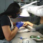 Майстерня краси 2