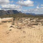 Віктор Микола Гаврилюк 9