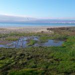 Віктор Микола Гаврилюк 26