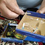 Ящук, вітрильники (5)