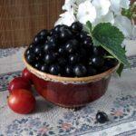 Лучиці саджанці 4