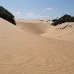 Віктор Микола Гаврилюк 6