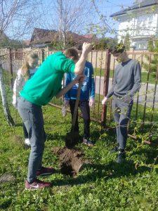 Рованці бузкова алея 5