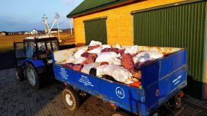 Овочі для лікарні 1