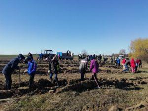 Висадка лісу Промінь 7