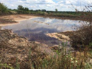 Поля фільтрації