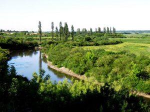 Історія Вербаїв