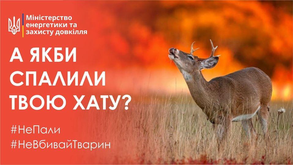 Штрафи спалювання трави 2