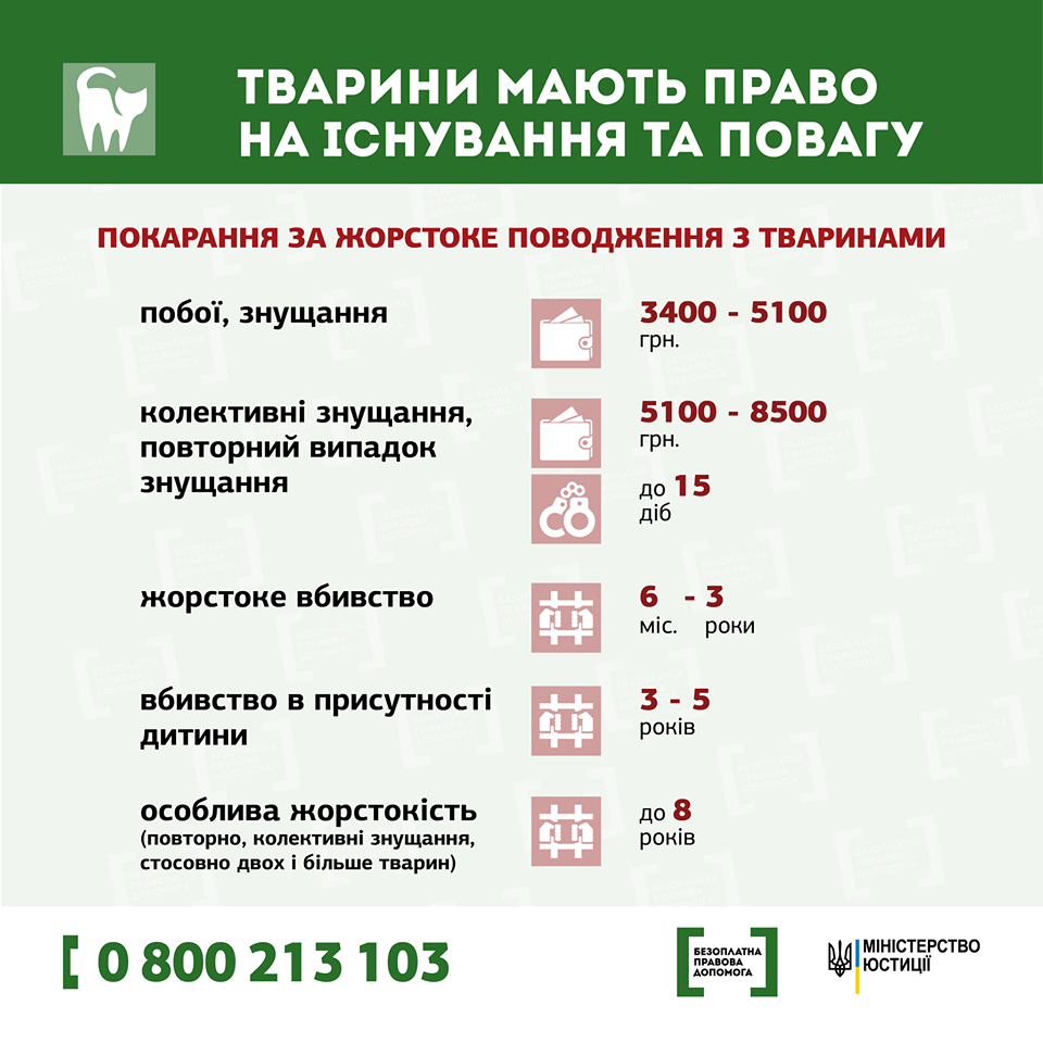 Тварини мають право