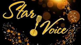 Мистецькі студії