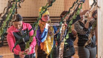 Маскувальні сітки