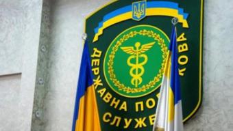 Податкова служба