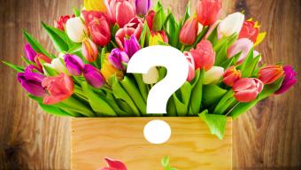 8 березня або про що говорять жінки