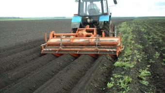 Оголошення: землекористувачам сіл Баїв, Городище, Цеперів