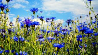 Дайджест подій Боратинської громади. ЧЕРВЕНЬ