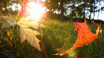 Дайджест подій Боратинської громади. ВЕРЕСЕНЬ