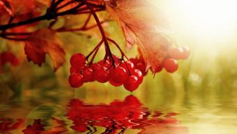 Дайджест подій Боратинської громади. ЖОВТЕНЬ