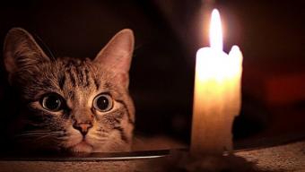 Планове відключення електроенергії у Боратині та Голишеві