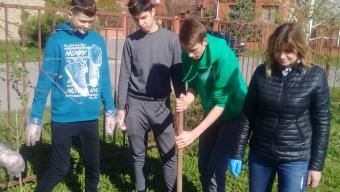 У Рованцях посадили бузкову алею