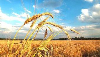 Дайджест подій Боратинської громади. СЕРПЕНЬ