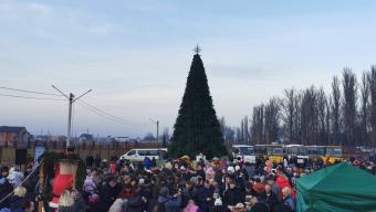 Дивовижна феєрія: новорічну ялинку у Боратині засвітили 287 Миколаїв