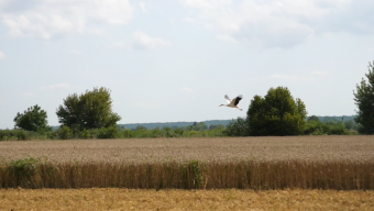 Серія 9. Аграрії Боратинської громади