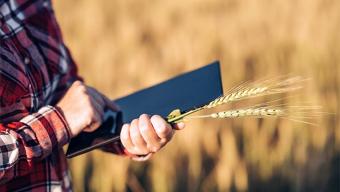 Як зареєструватися у Державному Аграрному Реєстрі