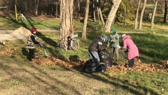 У Баєві відбулася осіння толока