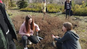 Боратин квіткова алея