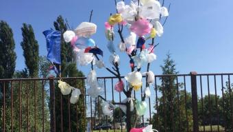 День без поліетилену: долучайтеся до еко-флешмобу