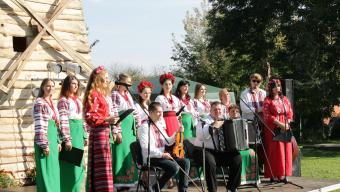 Радомишль день села