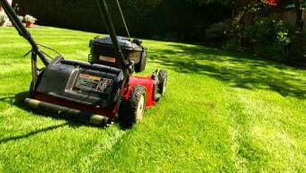 Сезон косіння трави