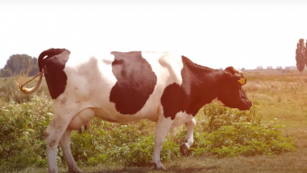 Серія 5. Молочарі Боратинської громади