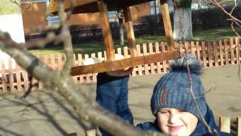 Дистанційний челендж: у Мстишині школярі зустрічали птахів