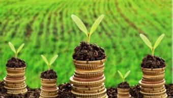 Земельний податок 2022