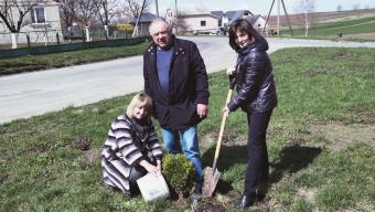 Промінь толока