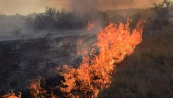 Рейди пожежі