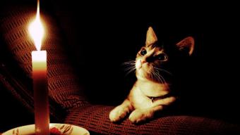 Рованці світло