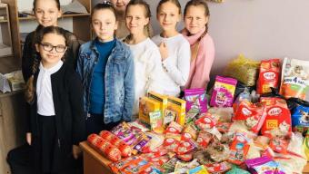 Школярі з Рованців зібрали корм для безпритульних тварин
