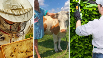 Оголошено наступні номінації для пошуку унікальних «Я» Боратинської громади