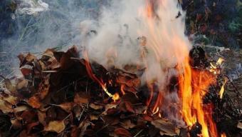 «Гаряча» осінь: рятувальники закликають не провокувати пожежі