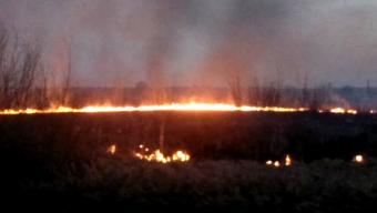 Закликають не провокувати пожежі в екосистемах