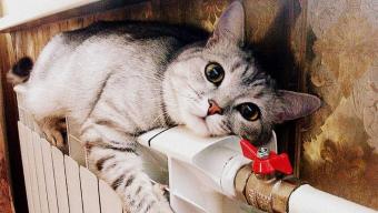 Боржникам за комунальні послуги не призначатимуть субсидії