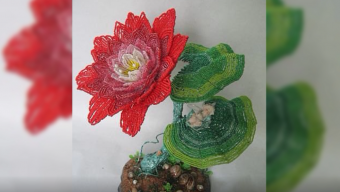 У Городищі відновило роботу творче об’єднання «Бісеринка»