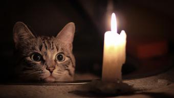 Відключення світла Боратин