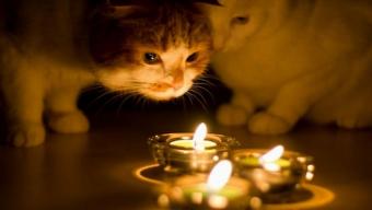 Відключення світла