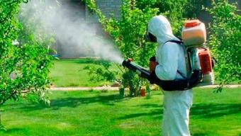 На дитячих майданчиках проводитимуть робити із знищення кліщів